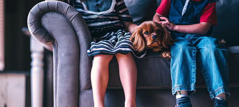 Pies dla dzieci, jakiego wybrać ?