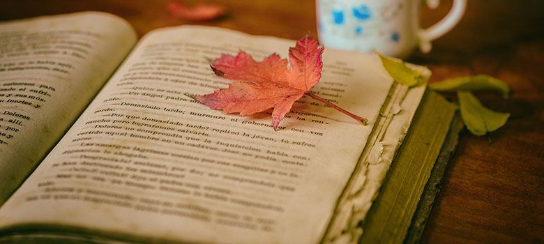 TOP 5 książek dla kobiet 2019