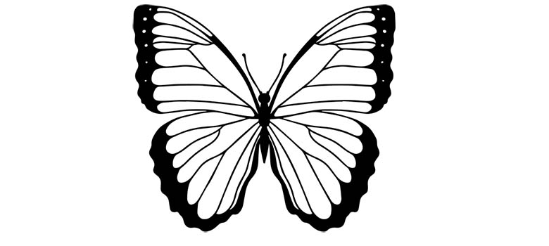 Kolorowanka motyl z pięknymi skrzydłami.