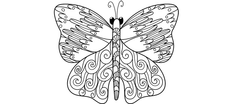 Motyl do kolorowania. Kolorowanka z motylem z dużymi skrzydłami.