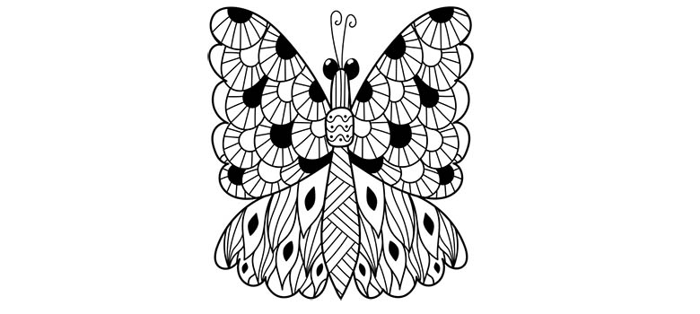 Motyl kolorowanka. Wyjątkowy piękny motyl z dużymi skrzydłami.