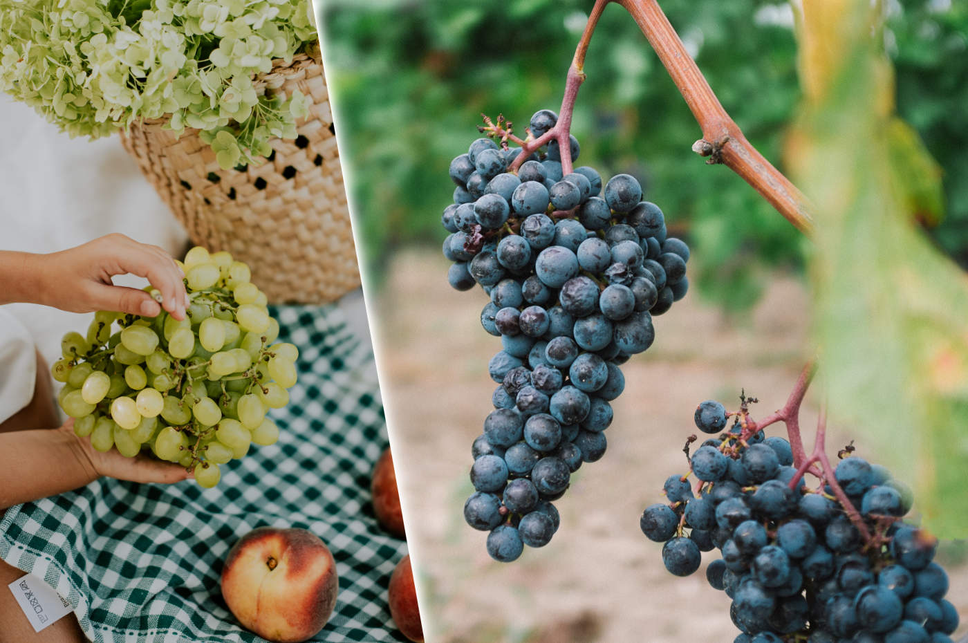10 Sposobów na wykorzystanie winogron